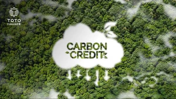Carbon Credits, Trust, and the Role of Tokenization